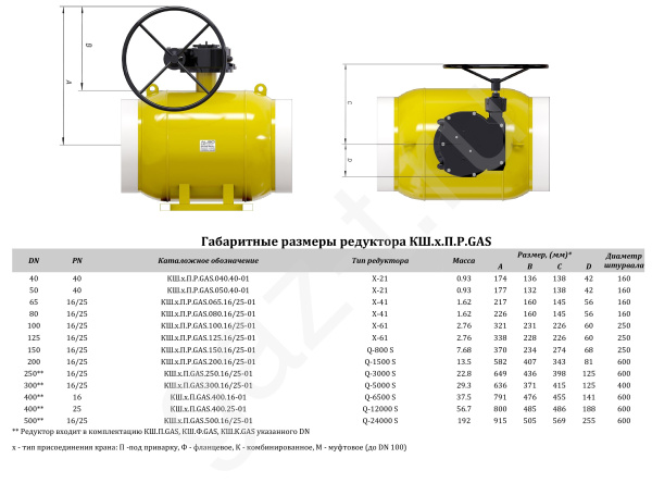 GAS под ред ПП