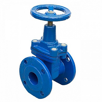 Задвижка чугунная 30ч39р фланцевая (Ду50 Ру16)